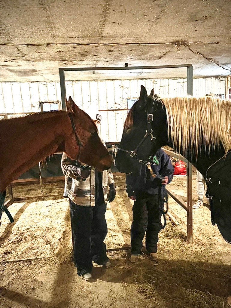 Apollo and Finn meeting for the first time