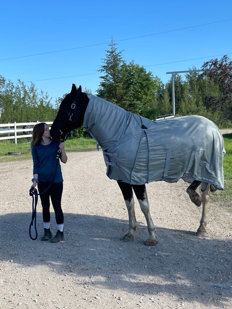 Finding Finnighan – The Gentle Giant