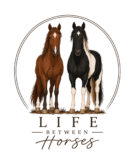 Life Between Horses
