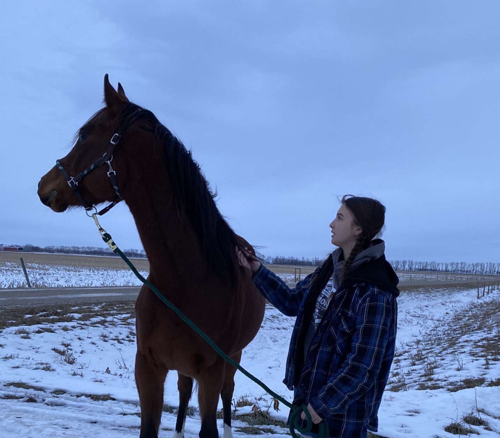 The Horse Deemed Dangerous