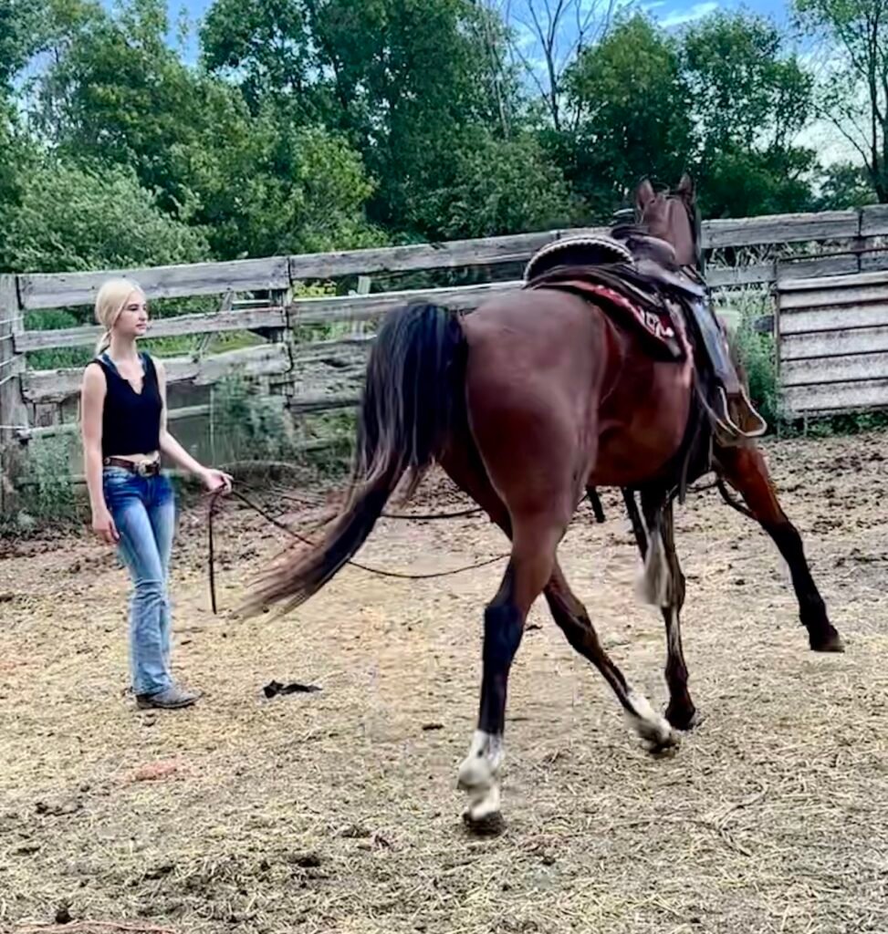 Jaydyn working Apollo on the lunge line during an early training session.