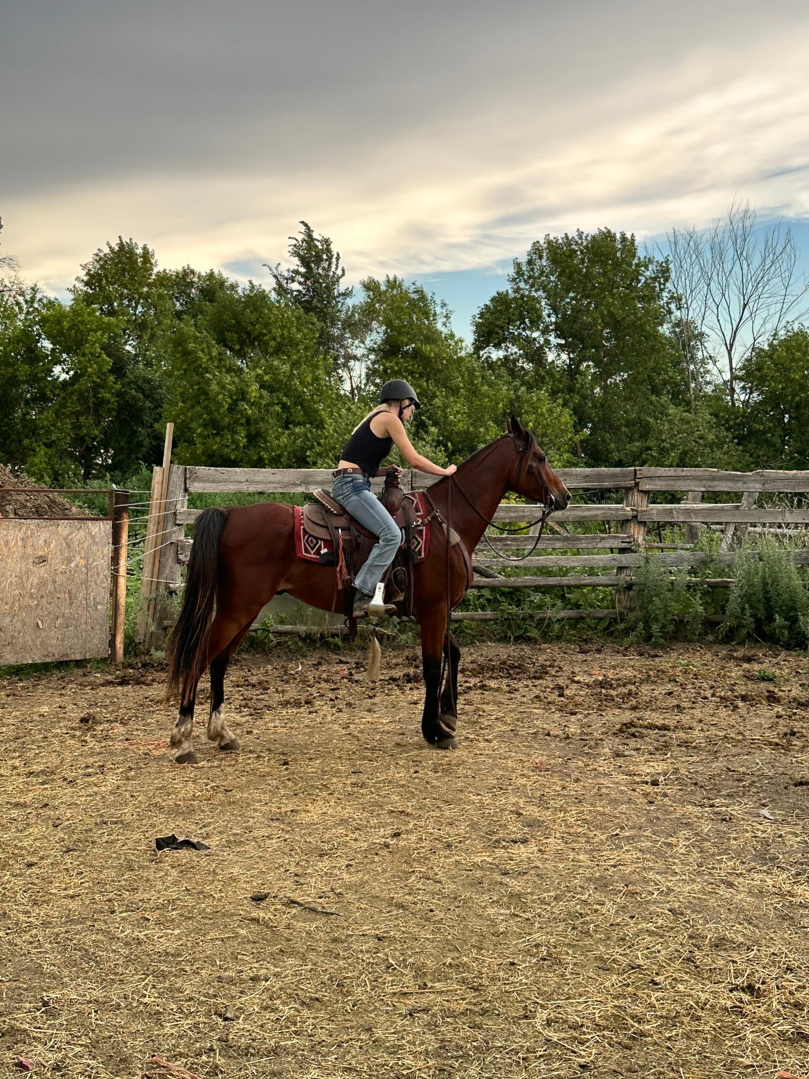 More Than A Dangerous Horse