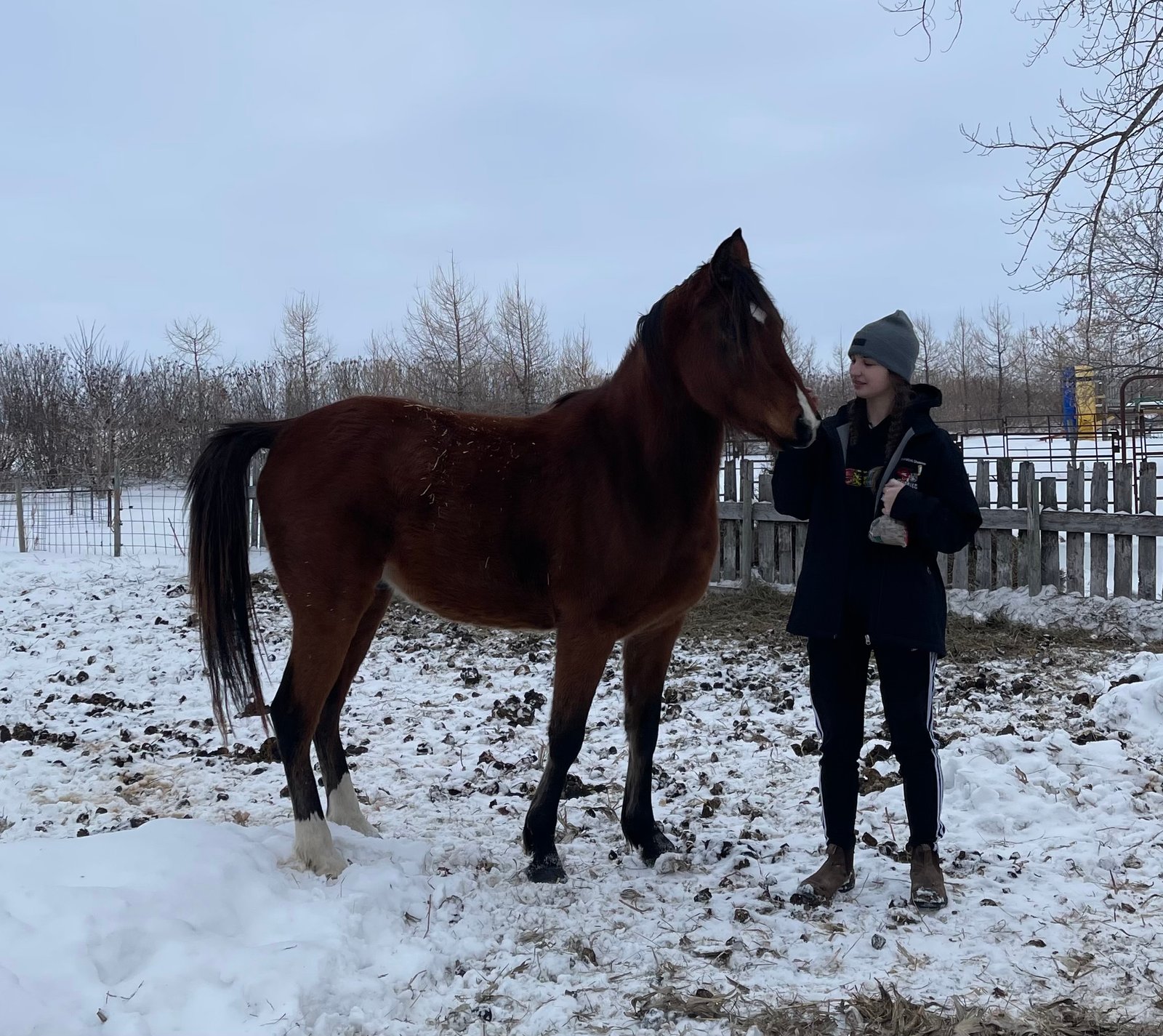 What I Wish I Knew Before Buying Our First Horse